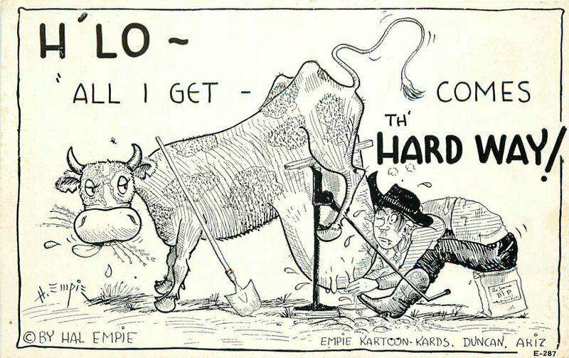 Cow Milking 1940s Hal Empie Postcard Western Comic Humor 3337