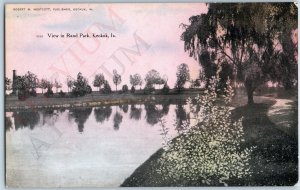 c1910s Keokuk, IA Rand Park Lovely Weeping Willow Art Illustration Westcott A189