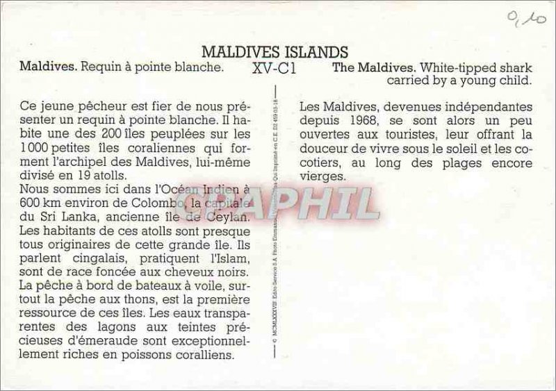 Postcard Modern Maldives has white tip shark