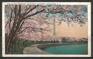 Washington DC - Cherry Blossoms & Washington Monument - [DC-040]