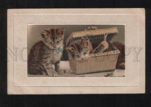 3076521 Cute KITTENS in Basket Vintage Embossed Color RPPC