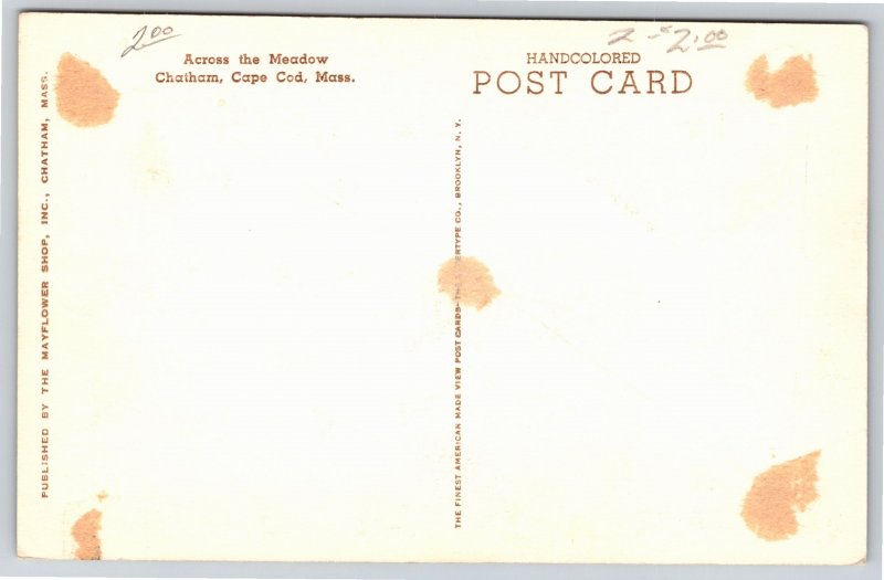 Chatham Cape Cod Massachusetts~Across Meadow~c1910 Hand-Colored Postcard