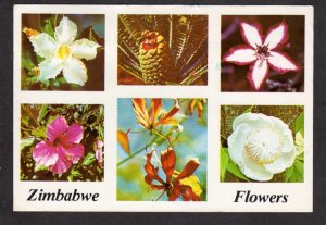 Zimbabwe Flowers Sabi Star, Hibiscus, etc  African Postcard Carte Postale
