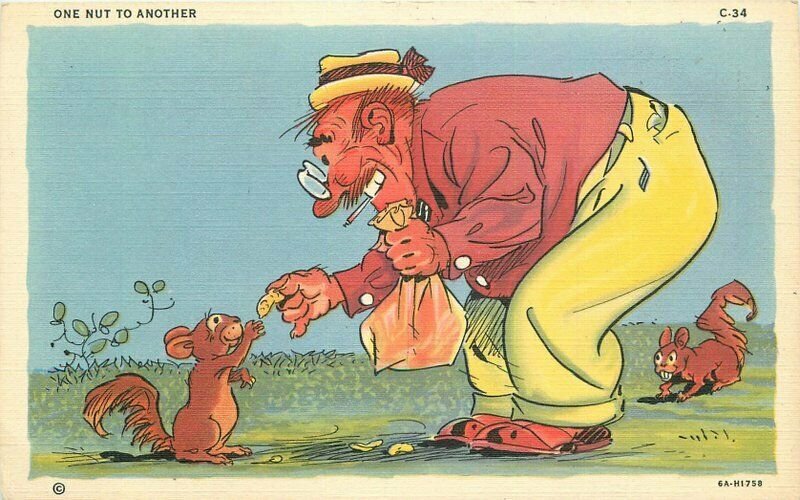 Comic Humor Ray Walters man feeding squirrel Postcard Teich linen 20-10840