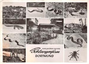 BF37094 dortmund schlangenfarm germany snake