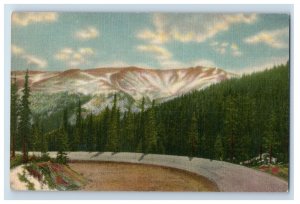 Vintage Berthoud Pass, Colorado. Postcard F144E