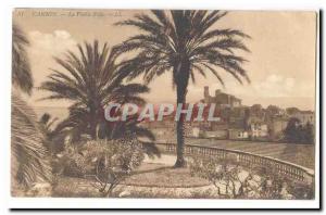 Cannes Old Postcard Old town (palms)