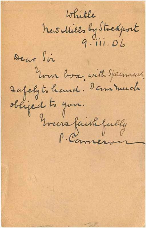 Entier Postal Stationery 1p for USA 1906