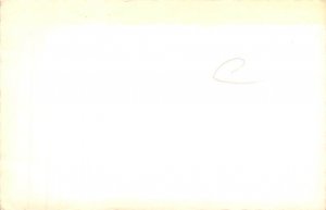 Non PC Backing Nude View Images