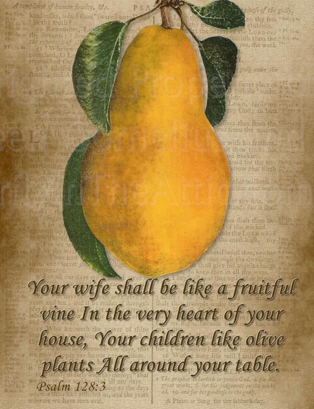 Single Fine Art Postcard, Psalm 128:3 Your wife shall be like a fruitful vine..