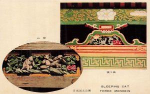 Nikko Japan Toshogu Shrine Sleeping Cat Three Wise Monkeys Postcard Fukuin