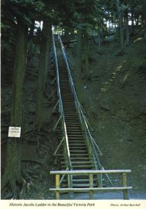 Truro NS Nova Scotia Jacobs Ladder Victoria Park Vintage Unused Postcard D15