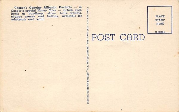 Alligator Hand Bags St Augustine, Florida