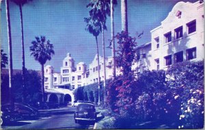 Vtg 1950's Palm Lined Drive Old Cars Beverly Hills Hotel California CA Postcard