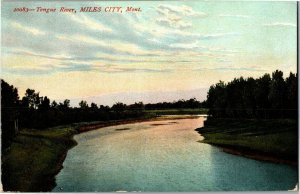 View Overlooking Tongue River, Miles City MT c1909 Vintage Postcard E71