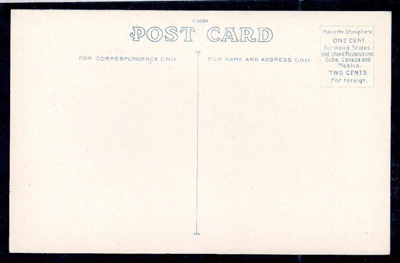 Paw Paw Tree w/Full Load Florida unused c1920's