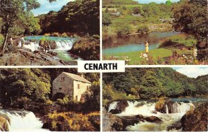 US66 UK Wales Cenarth waterfalls Teifi river old mill and falls Salmon leap