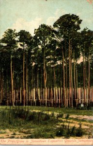 Jamestown Exposition 1907 The Pine Grove 1910