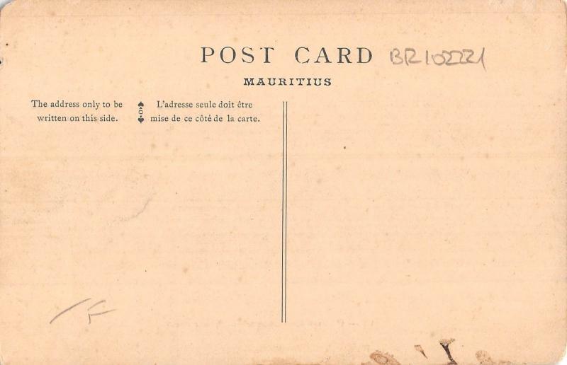 BR102221 pamplemousses farquhar basin  Mauritius africa