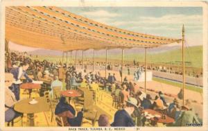 1941Tijuana AGUA CALIENTE MEXICO Horse Race Track Grandstand postcard 1949