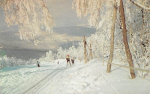 Rice's Big Indian House INC New York Postcard