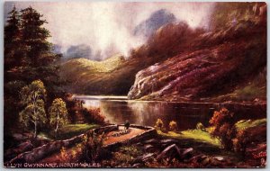 Llyn Gwynnant North Wales Picturesque Lake Oilette Raphael Tuck Card Postcard