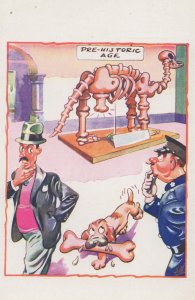 Oscar The Dog Dinosaur Skeleton Museum Bone Comic Bamforths Postcard