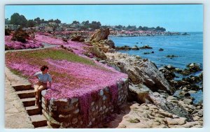 PACIFIC GROVE, CA ~ The Famous MAGIC CARPET  Coastline Scene c1960s Postcard