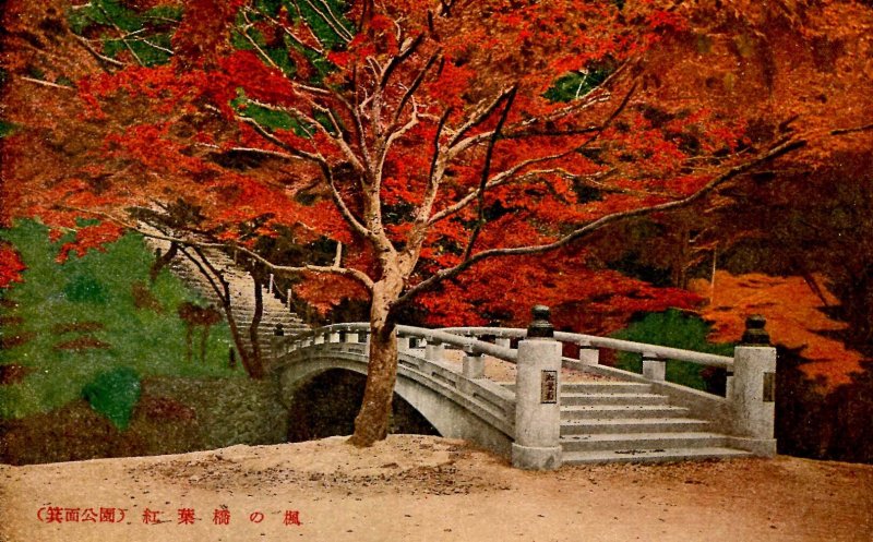 Japan - Arched Bridge