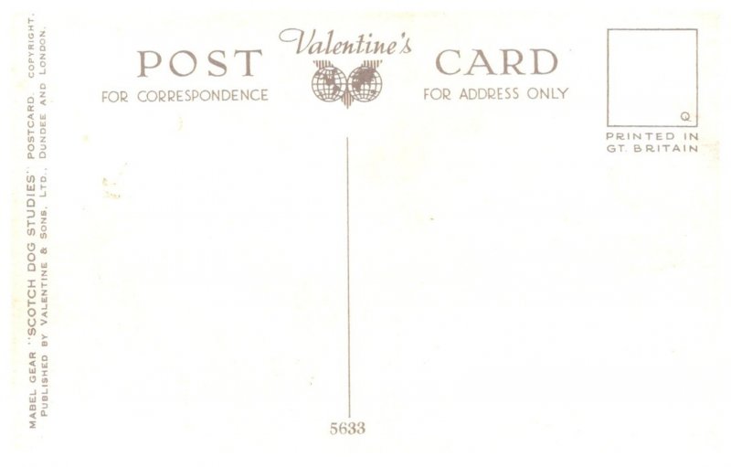 Dog ,  Scotch Collie and Terrier