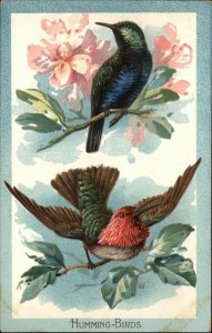 Tuck Birds No. 402 Hummingbirds Humming Birds Animal Studies c1910 Postcard