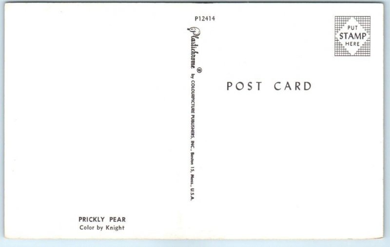 Postcard - Prickly Pear
