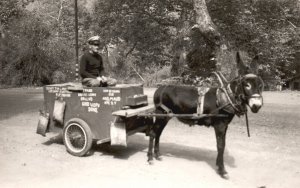 Vintage Postcard Man w/ Business Cart Donkey Ice Cream Real Photo RPPC