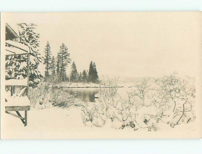 Old rppc NATURE SCENE Great Postcard AB0504