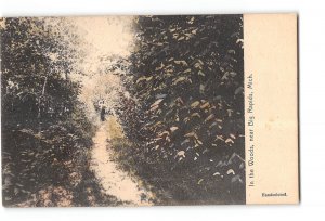 Big Rapids Michigan MI Postcard 1907-1915 In the Woods