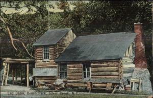 Silver Creek NY Log Cabin Beach Park c1910 Postcard