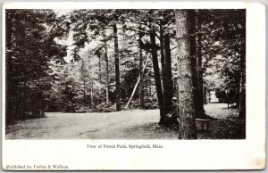 1905 View of Forest Park Springfield Massachusetts MA Trees Posted Postcard