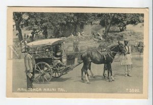 438895 INDIA Mail Tonga Naini Tal carriage Vintage postcard