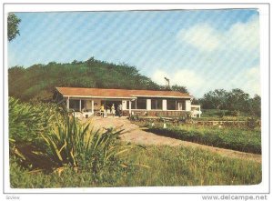 Montauberge restaurant, Martinique, Morne Rouge, France, 50-70s