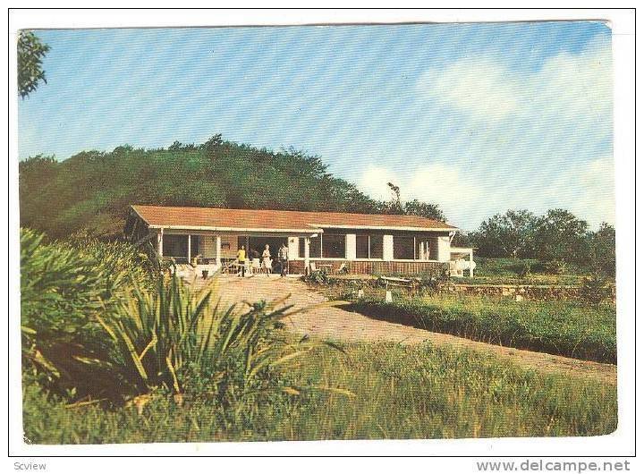 Montauberge restaurant, Martinique, Morne Rouge, France, 50-70s