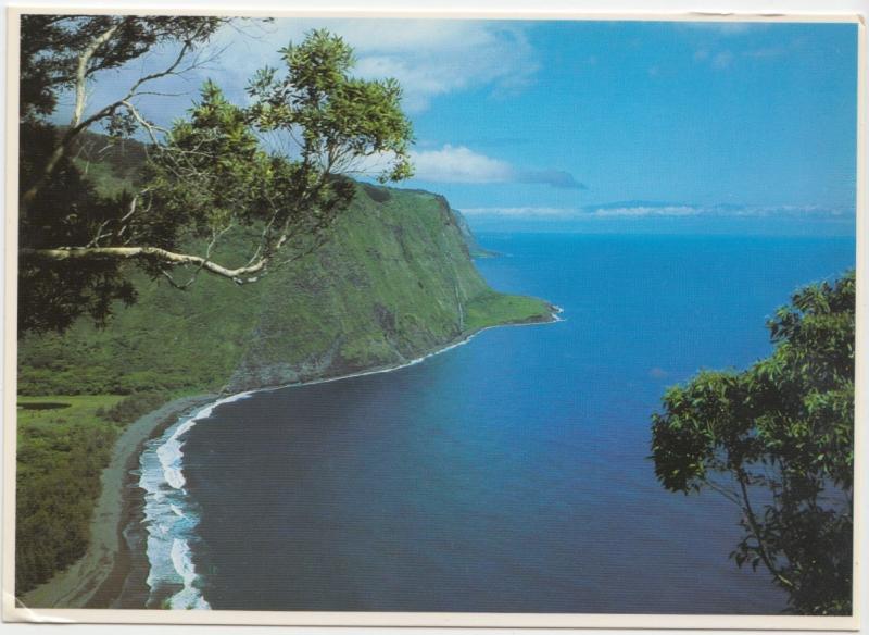 WAIPIO VALLEY, big island of Hawaii, unused Postcard