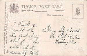 New Brunswick Canada NB Canadian Coat of Arms Flag TUCK #2911 Postcard E31