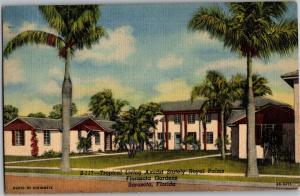 Florasota Gardens, Sarasota FL c1954 Vintage Postcard P26