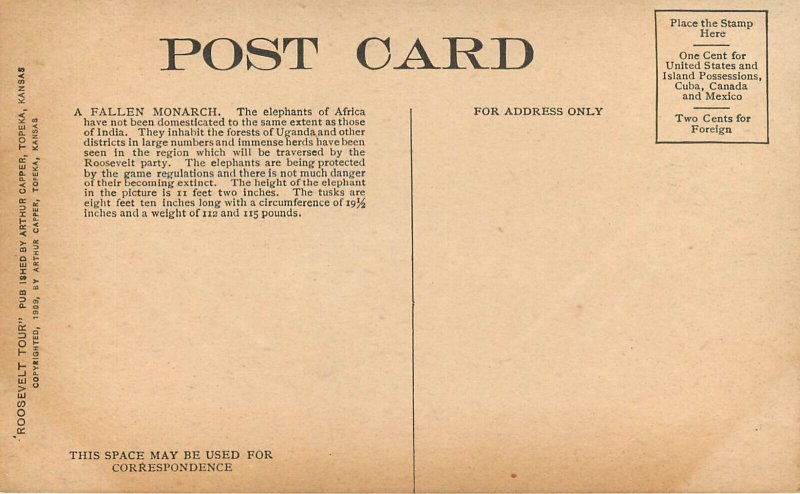 Teddy Roosevelt African Expedition Postcard Capper Series A Fallen Monarch