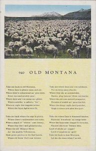 Montana 940 Old Montana