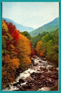 Tennessee - Little Pigeon River - Great Smoky Mountains - [TN-119]