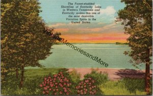 Forest-Studded Shoreline of Kentucky Lake Western Tennessee Postcard PC325