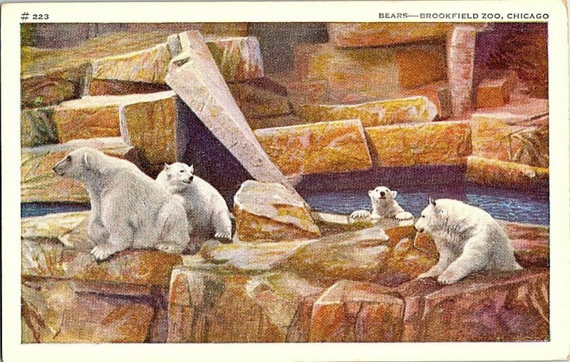 Bears Brookfield Zoo Chicago Illinois Vintage Postcard Standard View Card