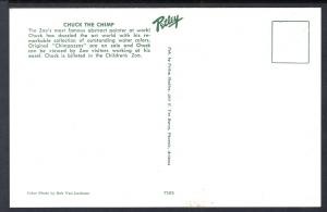 Chimpanzee Painting,Phoenix Zoo,Phoenix,AZ