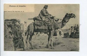 424329 Lebanon Bedouin on a camel Vintage Beirut postcard